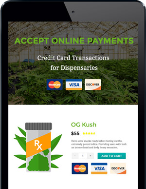 Accept Online Payments with MMJ eCommerce